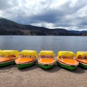 Black Forest by bus & train - from Freiburg