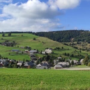 black forest scenery with bus