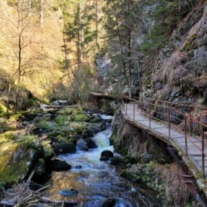 Ravenna Gorge Hike (302)